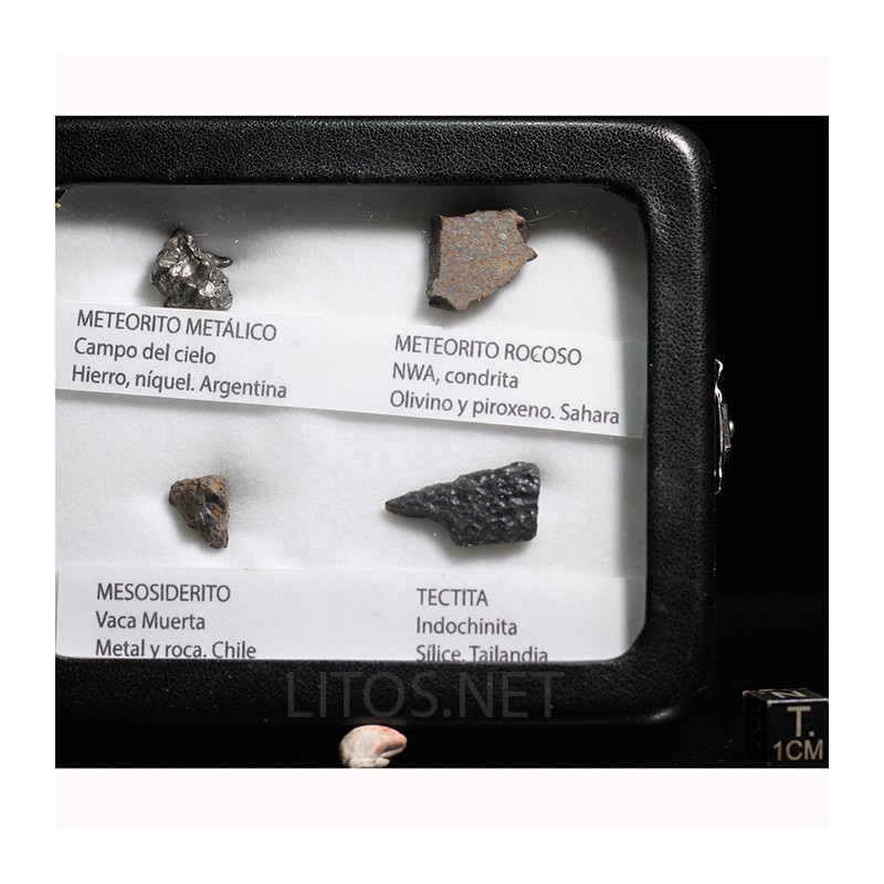Colección de meteoritos y tectita