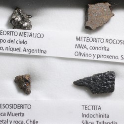 Colección de meteoritos y tectita