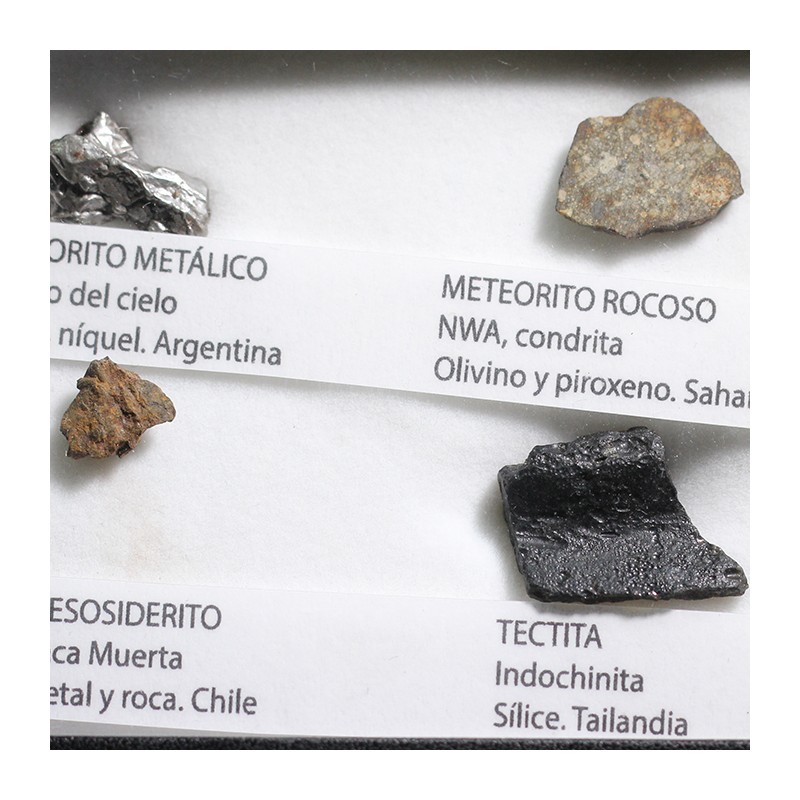 Colección de meteoritos y tectita