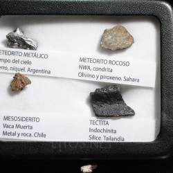 Colección de meteoritos y tectita