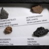 Colección de meteoritos y tectita