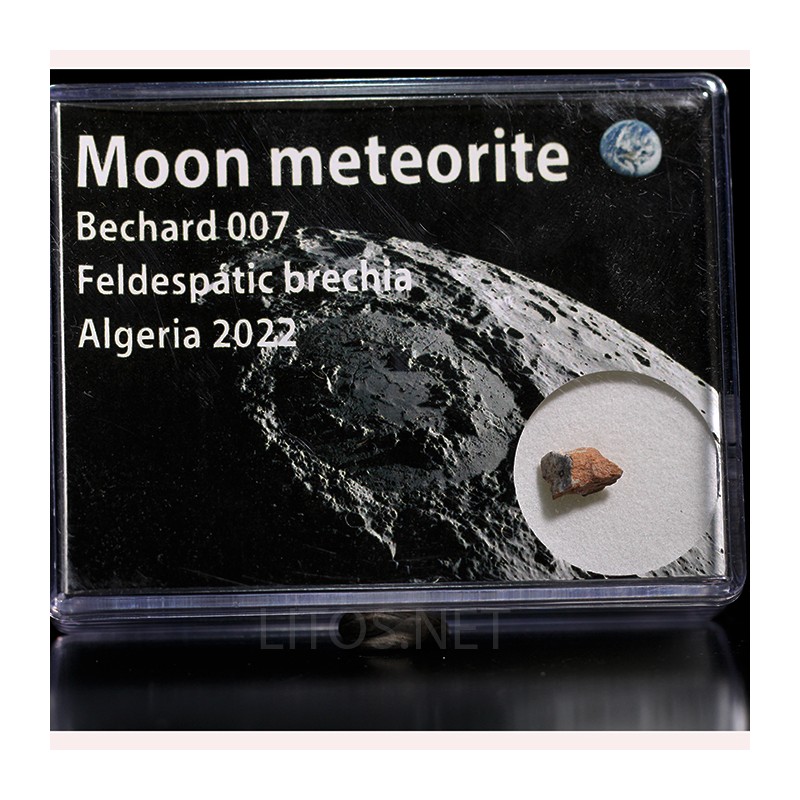 Meteorito lunar brecha anortosita
