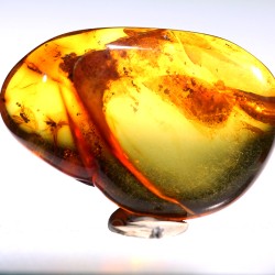 Ámbar con insectos  - Litos