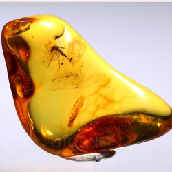 Ámbar con insectos  - Litos