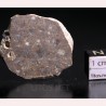 Meteorito lunar, NWA16200