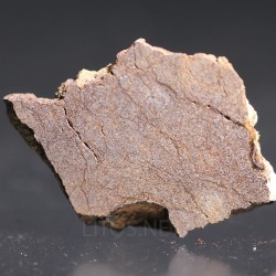 Meteorito acondrita winonaita