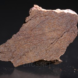 Meteorito acondrita winonaita