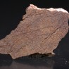 Meteorito acondrita winonaita