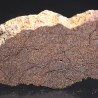 Meteorito acondrita winonaita