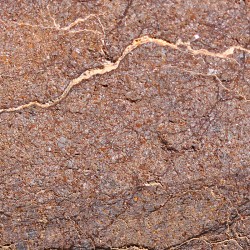 Meteorito acondrita winonaita