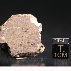 Meteorito acondrita winonaita