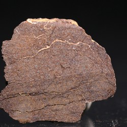 Meteorito acondrita winonaita