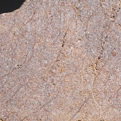 Meteorito acondrita winonaita