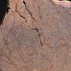 Meteorito acondrita winonaita