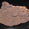 Meteorito acondrita winonaita