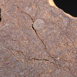 Meteorito acondrita winonaita