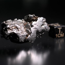 Meteorito campo del cielo