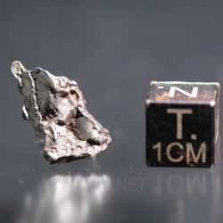 Meteorito campo del cielo