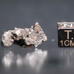 Meteorito campo del cielo