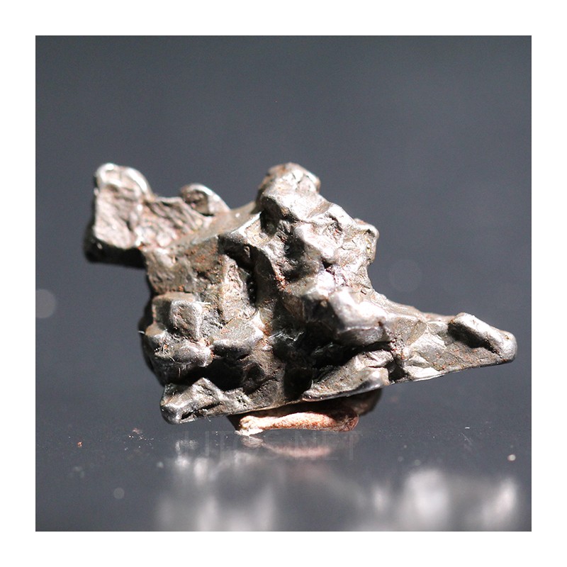 Meteorito campo del cielo