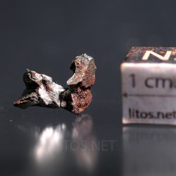 Meteorito campo del cielo