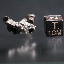 Meteorito campo del cielo