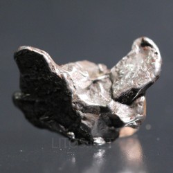 Meteorito campo del cielo