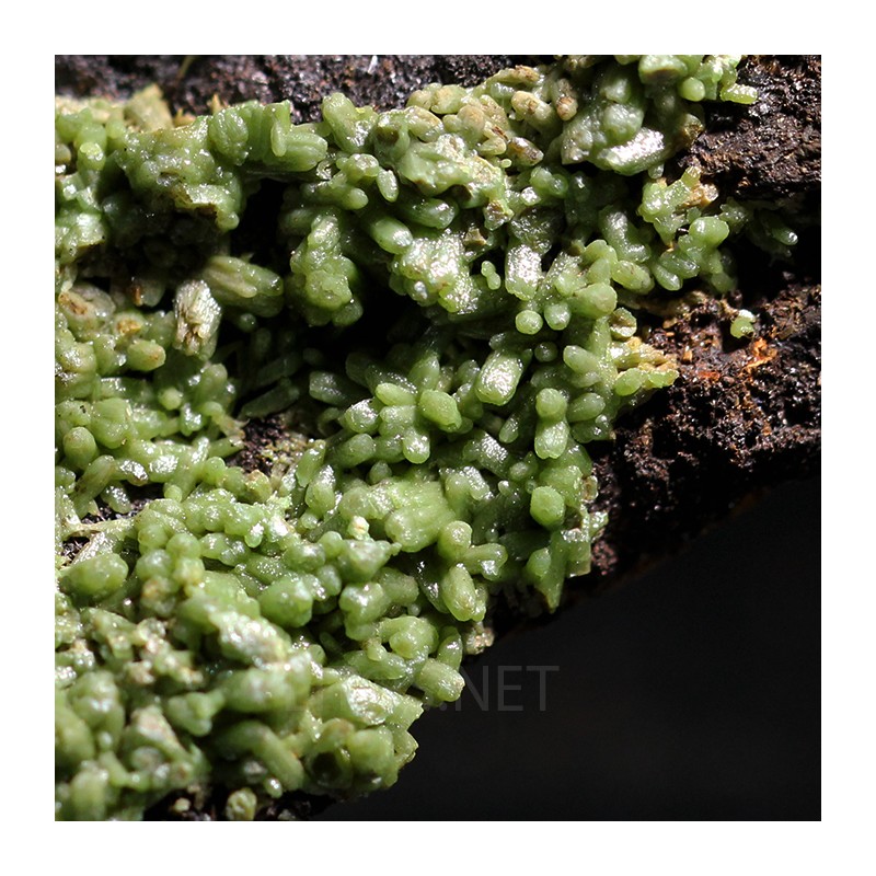 Piromorfita Asturias