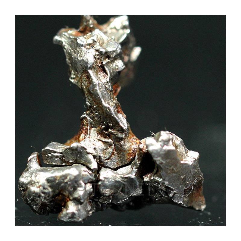 Meteorito campo del cielo