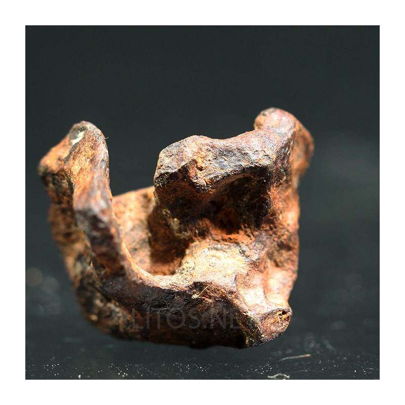 Meteorito Cañón del Diablo