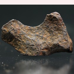 Meteorito Cañón del Diablo