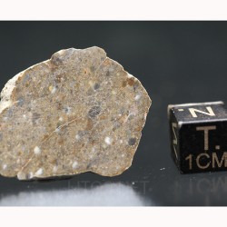 Meteorito lunar, NWA16200