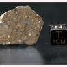 Meteorito lunar, NWA16200
