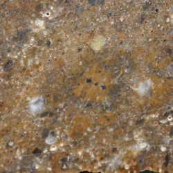 Meteorito lunar, NWA16200