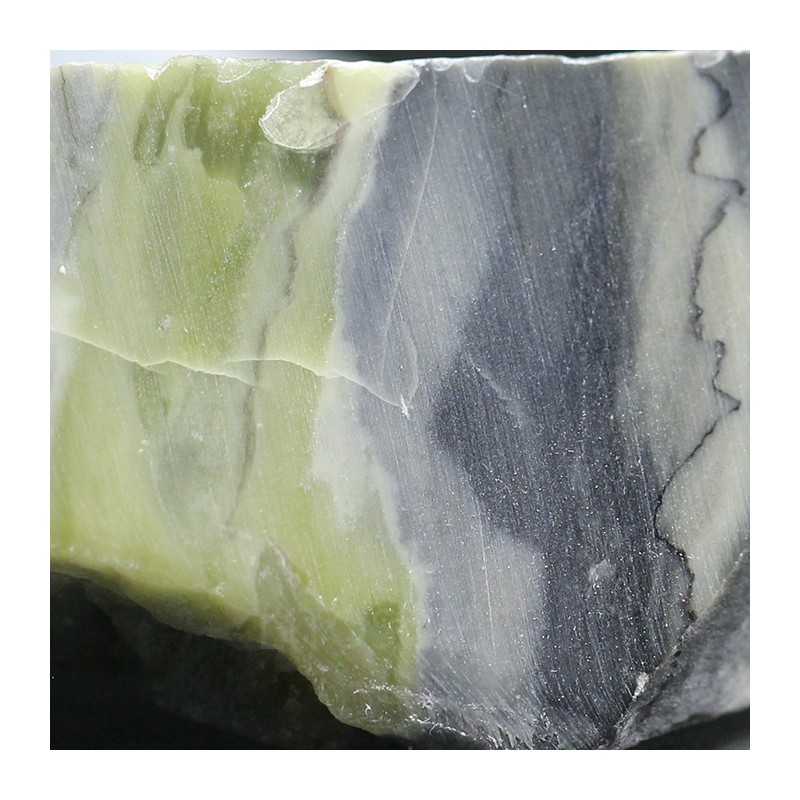 Algas verde-azuladas fósiles