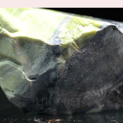 Algas verde-azuladas fósiles