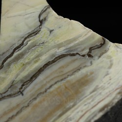 Algas verde-azuladas fósiles