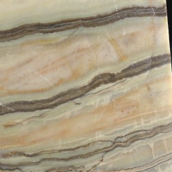 Algas verde-azuladas fósiles