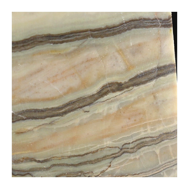 Algas verde-azuladas fósiles