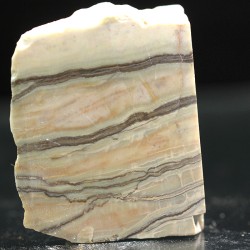 Algas verde-azuladas fósiles