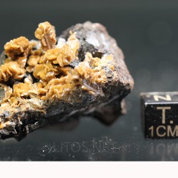 Siderita con calcita