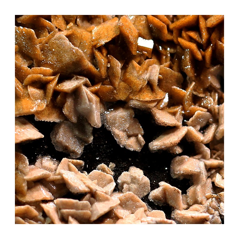 Siderita con calcita