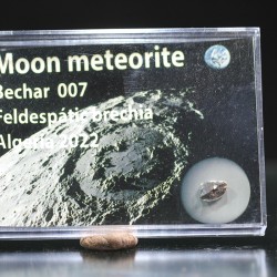 Meteorito lunar brecha anortosita