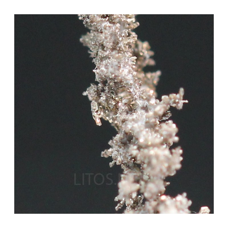 Plata nativa y kongsbergita