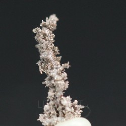 Plata nativa y kongsbergita