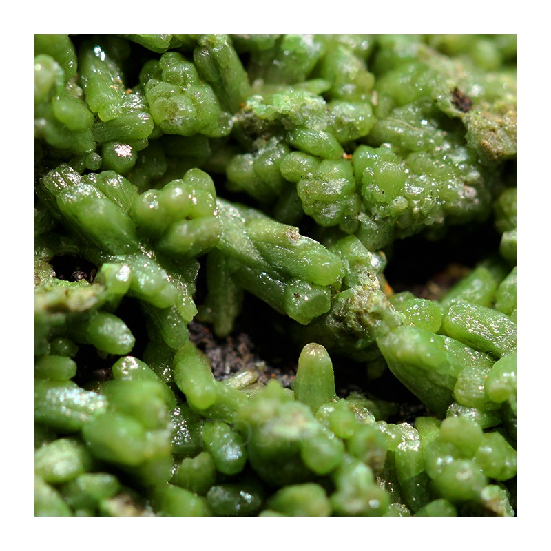 Piromorfita Asturias