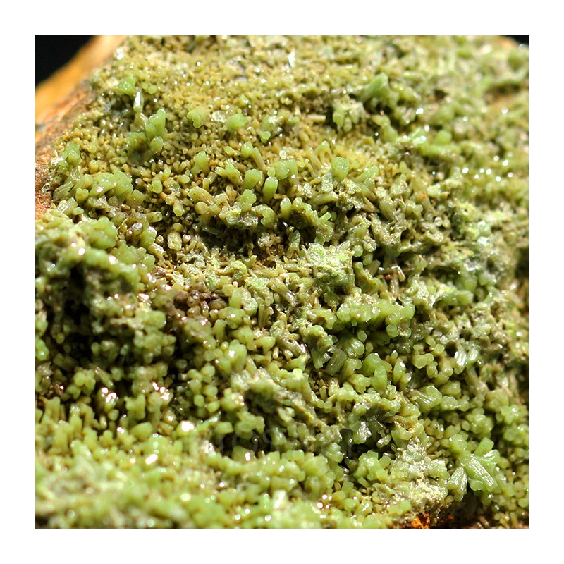 Piromorfita Asturias