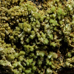 Piromorfita Asturias