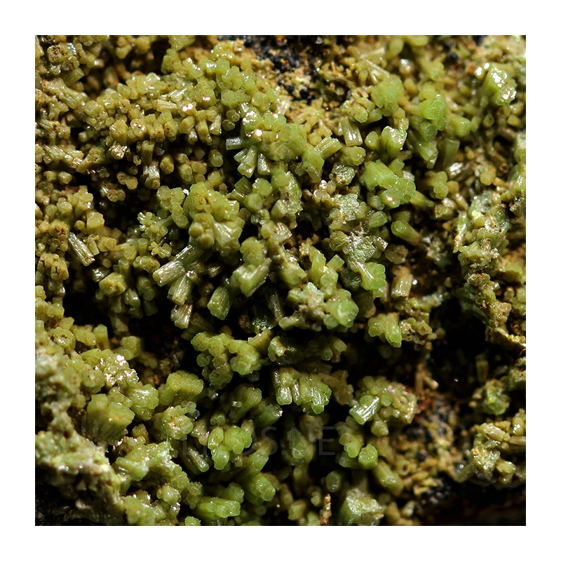 Piromorfita Asturias