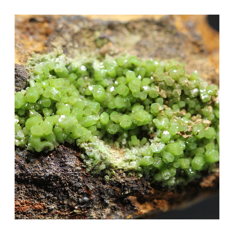 Piromorfita Asturias